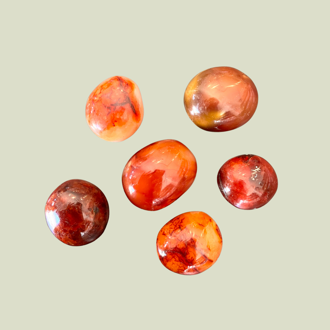 Load image into Gallery viewer, Dragon&amp;#39;s Egg Carnelian
