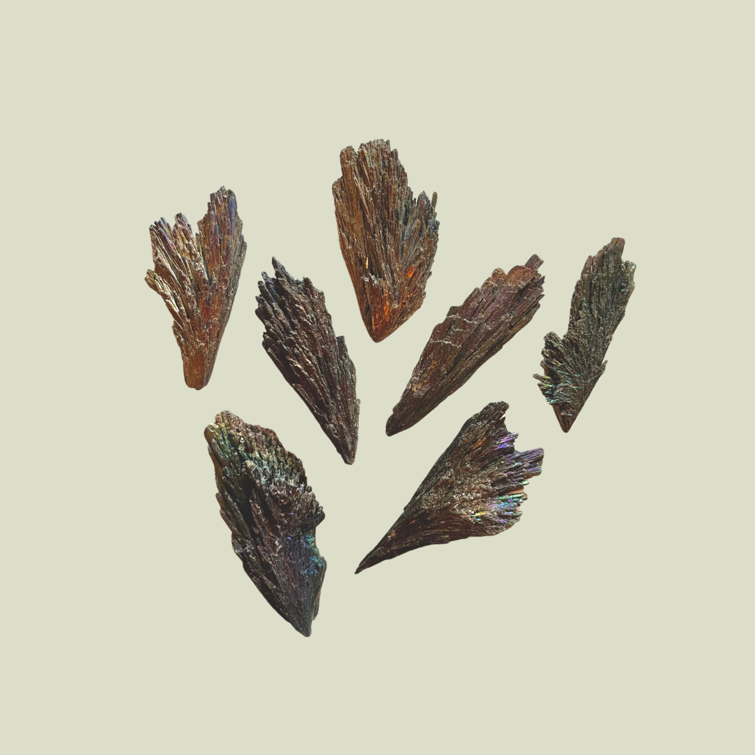 Witches Broom Kyanite