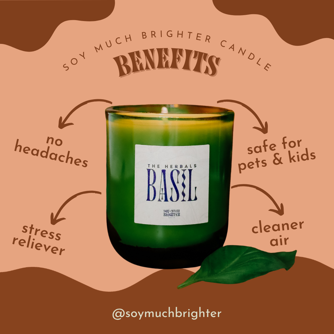 Basil // The Herbals Collection // Large