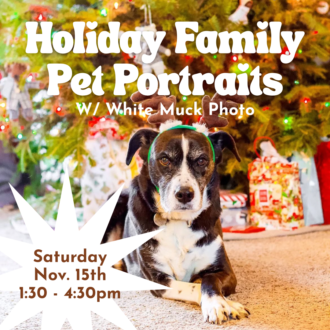 Holiday Family Pet Portraits w/ White Muck Photo