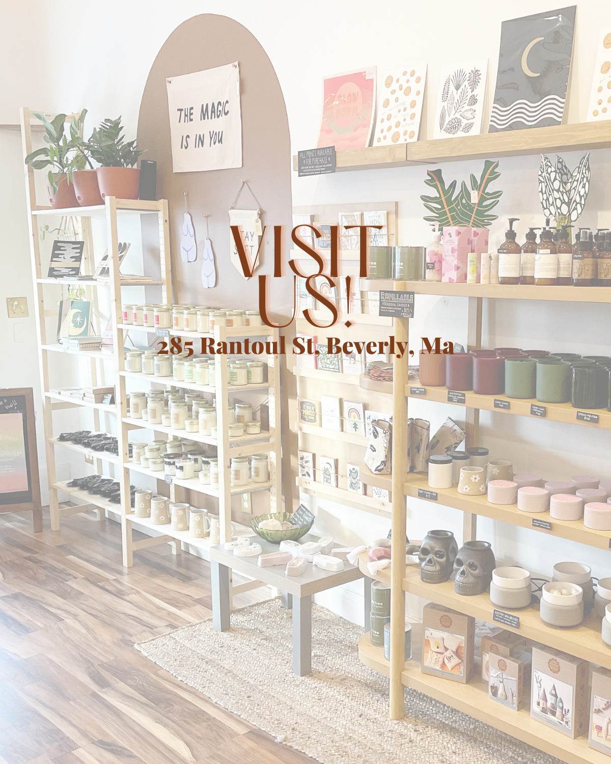 Visit Soy Much Brighter in store in Beverly, Ma