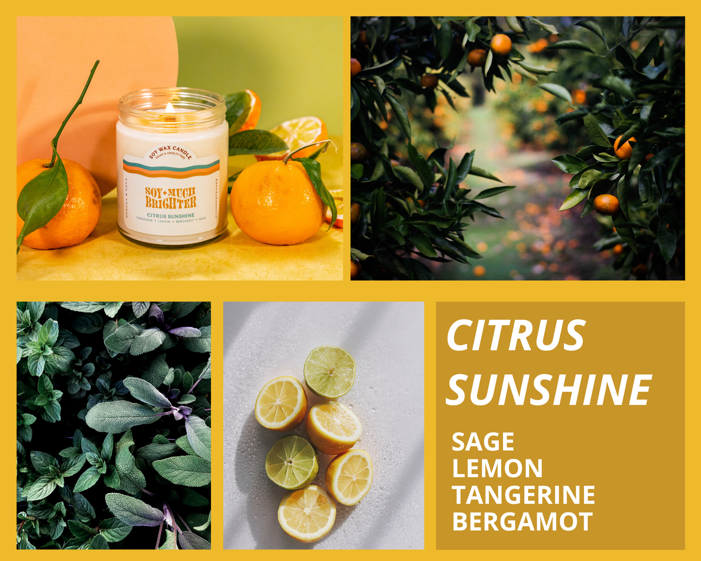 Citrus Sunshine: Bergamot + Tangerine + Lemon + Sage