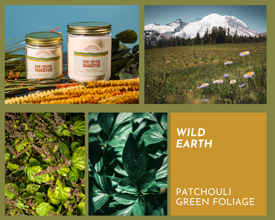 Wild Earth: Patchouli + Green Foliage